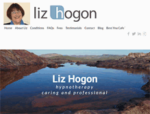 Tablet Screenshot of lizhogon.com